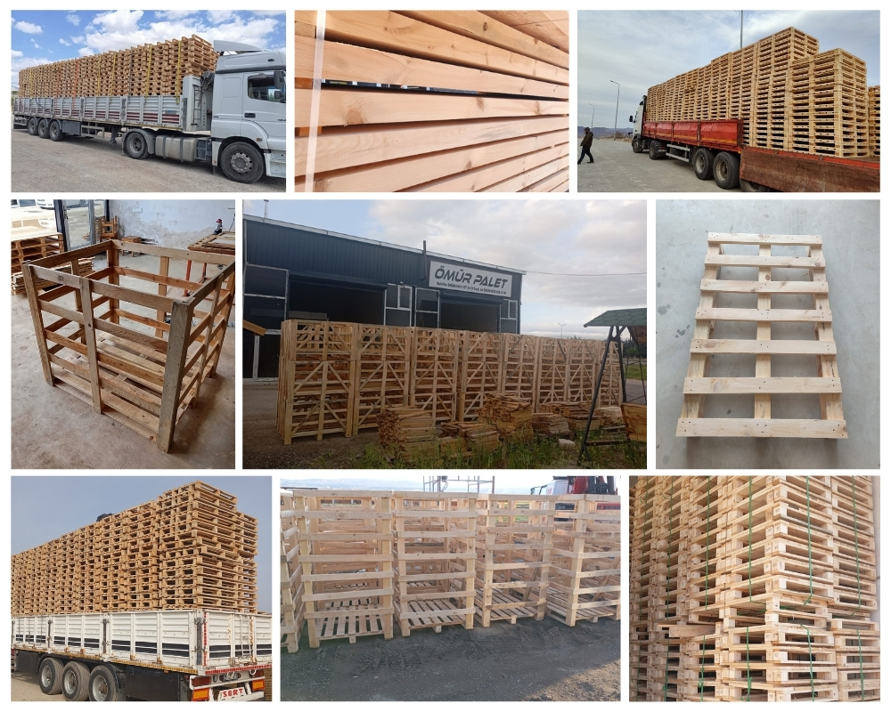 Lisse Houten Kisten, Europallets Groothandel Kopen